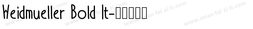 Weidmueller Bold It字体转换